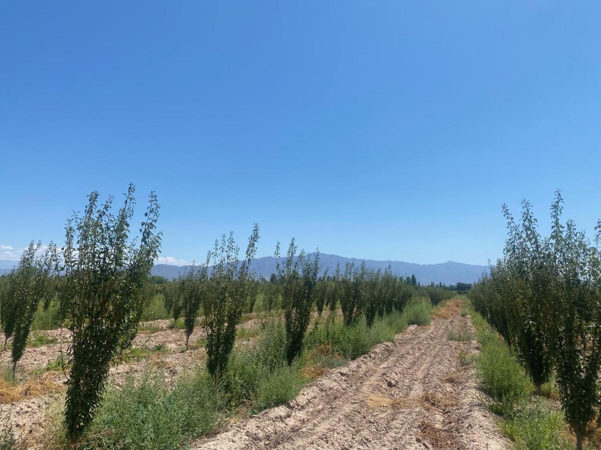 فيلا El Rincon Del Nene Albardón المظهر الخارجي الصورة